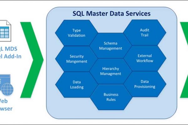 SQL Master Data Services