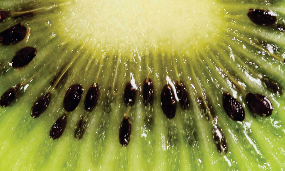 kiwifruit